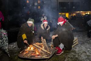 008 Pozdrav zimi inpraznik luci Foto atelje Postojna